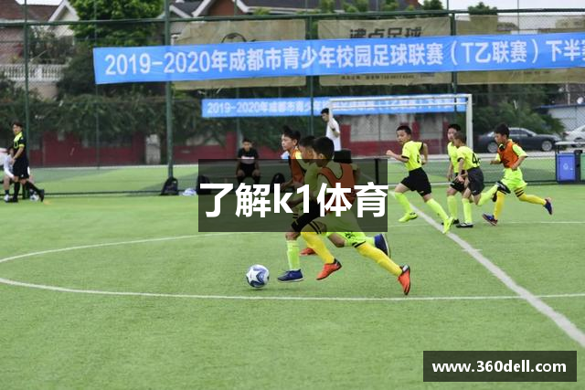 了解k1体育